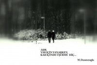 /album/www-m-demircioglu/dsc-0136-jpg/