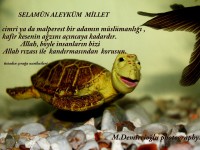 /album/www-m-demircioglu/img-0268-5840-jpg/