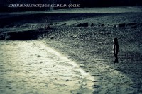 /album/www-m-demircioglu/img-0651-6004-jpg/
