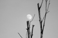 /album/www-m-demircioglu/img-0702-6034-jpg/