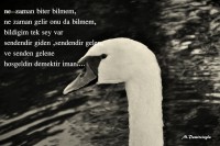 /album/www-m-demircioglu/dsc0192-829-jpg/