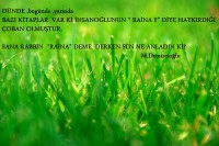/album/www-m-demircioglu/dsc0233-jpg/