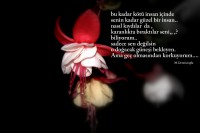 /album/www-m-demircioglu/dsc0252-1087-jpg/