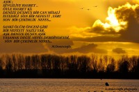 /album/sanat/csc0449-jpg/