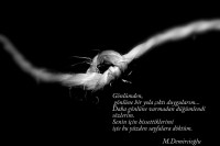 /album/sanat/img-0465-jpg/