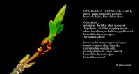 /album/sanat/img-2020-7083-jpg/