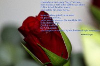 /album/sanat/img-9403-5425-jpg1/