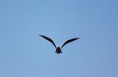 /album/resim-galerisi/img-1812-6986-jpg/